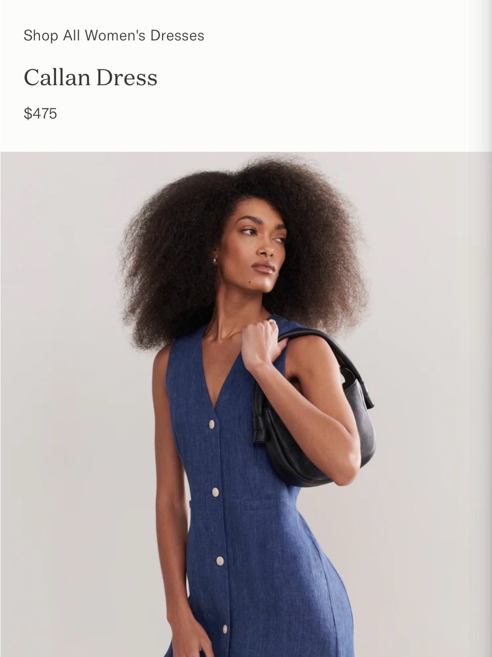 Jenni Kayne Callan Linen Dress Chambray Blue NWT L Midi Button Front Minimalist - Picture 3 of 13